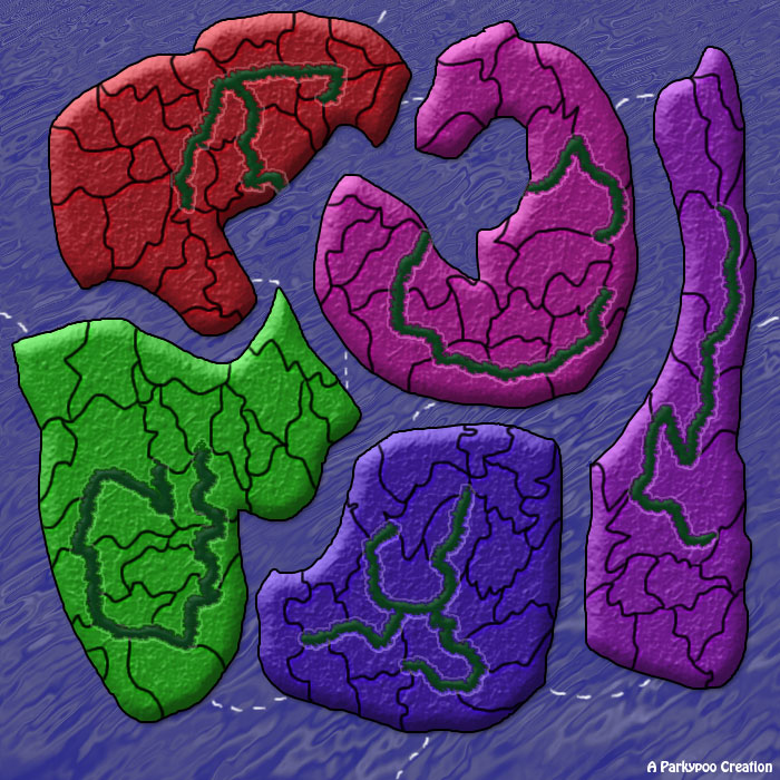 the map